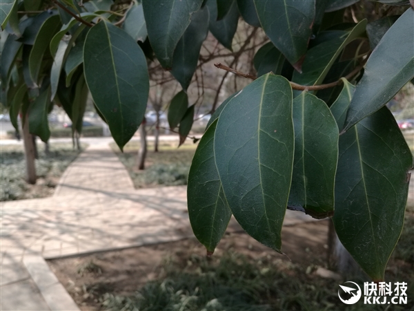 小米5与Mate8拍照谁更好? 对比一下就知道了