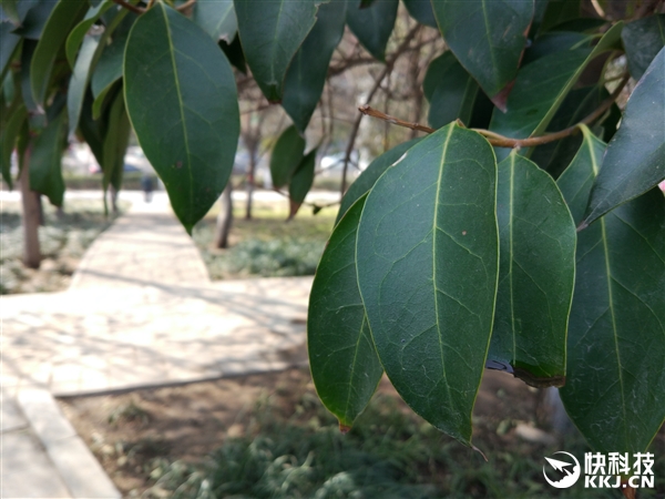 小米5与Mate8拍照谁更好? 对比一下就知道了